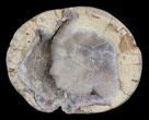 Crystal Filled Dugway Geode (Polished Half) #38870-1
